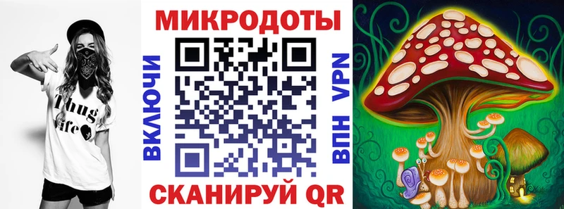 нарко площадка как зайти  Камышин  Псилоцибиновые грибы прущие грибы 