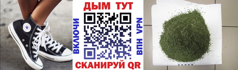 Шишки марихуана марихуана  Камышин 